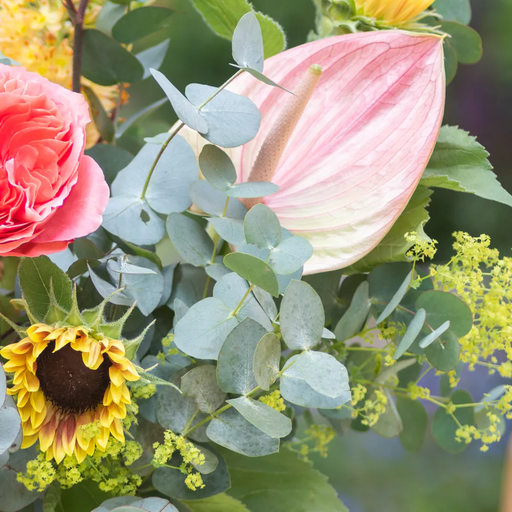 Soleil - Bouquet of the Month - Image 3