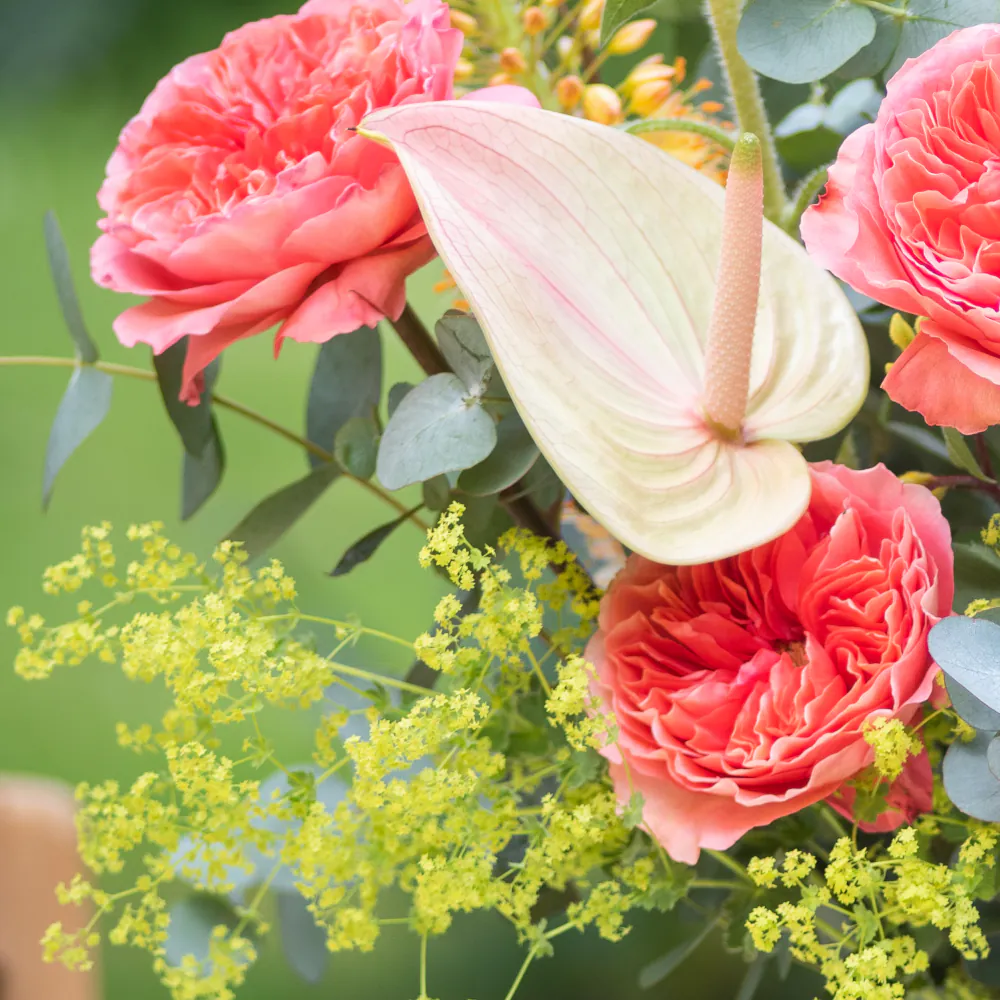 Soleil - Bouquet of the Month - Image 4